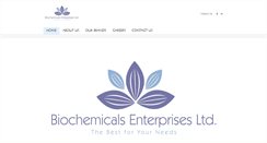 Desktop Screenshot of bioentltd.com